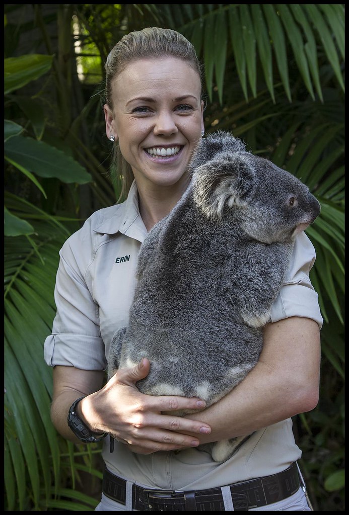 koala and handler