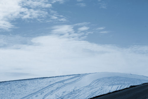 winter field